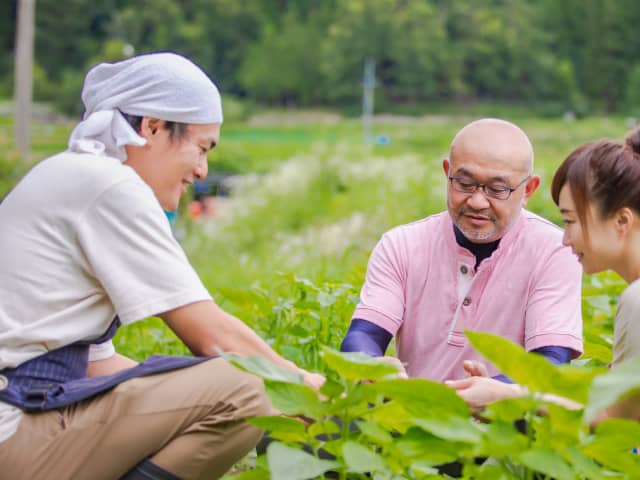 畑で植物を囲みながら会話をする3人の農作業者